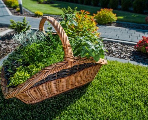 image of artificial grass garden design outdoors