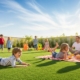 Artificial Turf