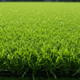 Artificial Turf Bad