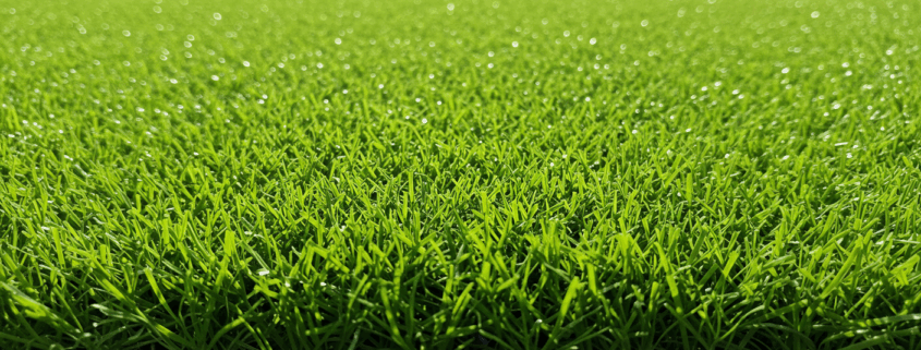 Artificial Turf Bad