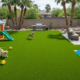 Artificial Turf in Arizona