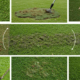Turf Cleaning Challenges