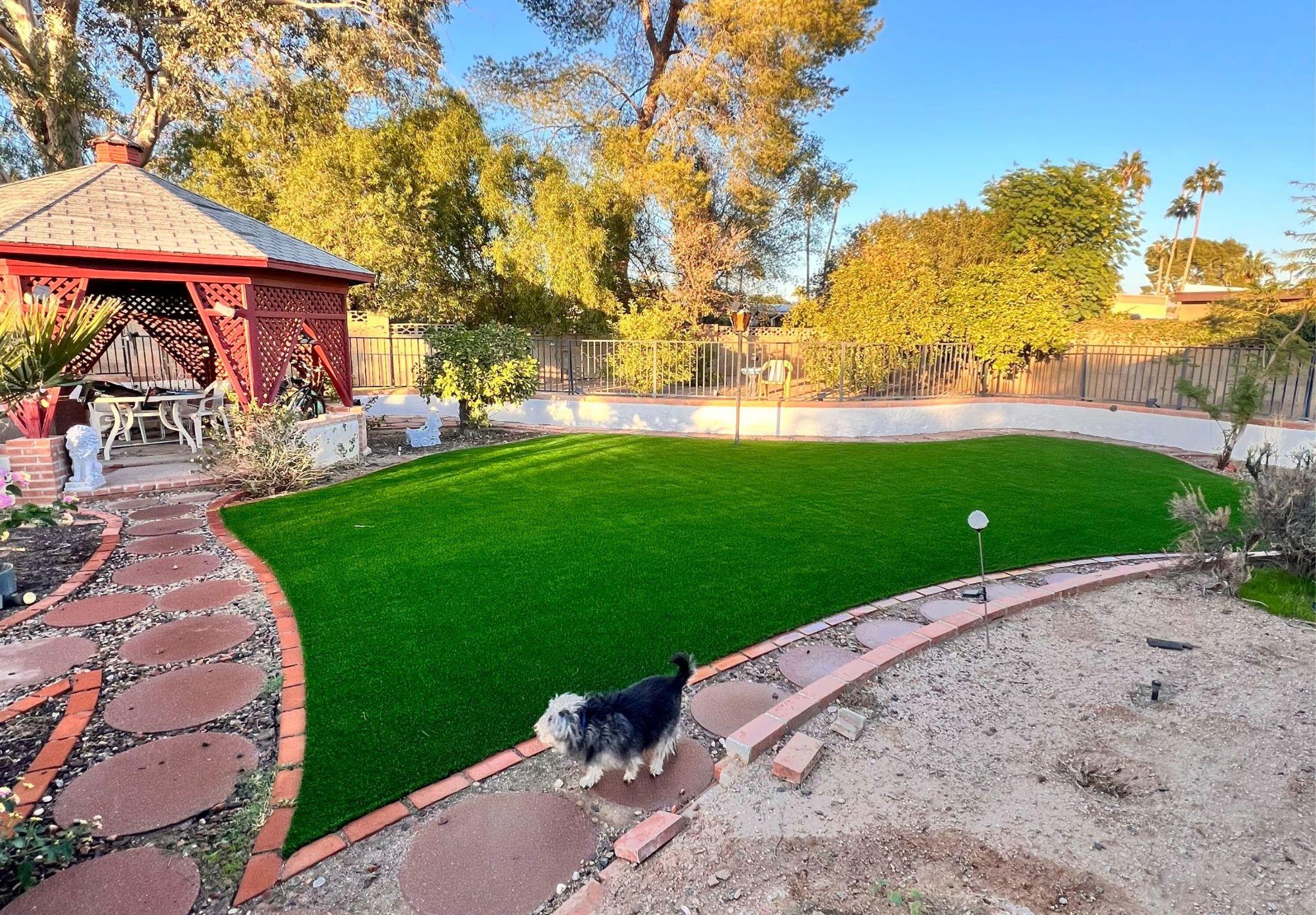 Artificial grass lawn with gazebo and dog