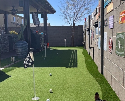 Artificial grass putting green with dog