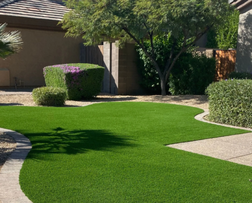 Curved turf lawn, desert yard.