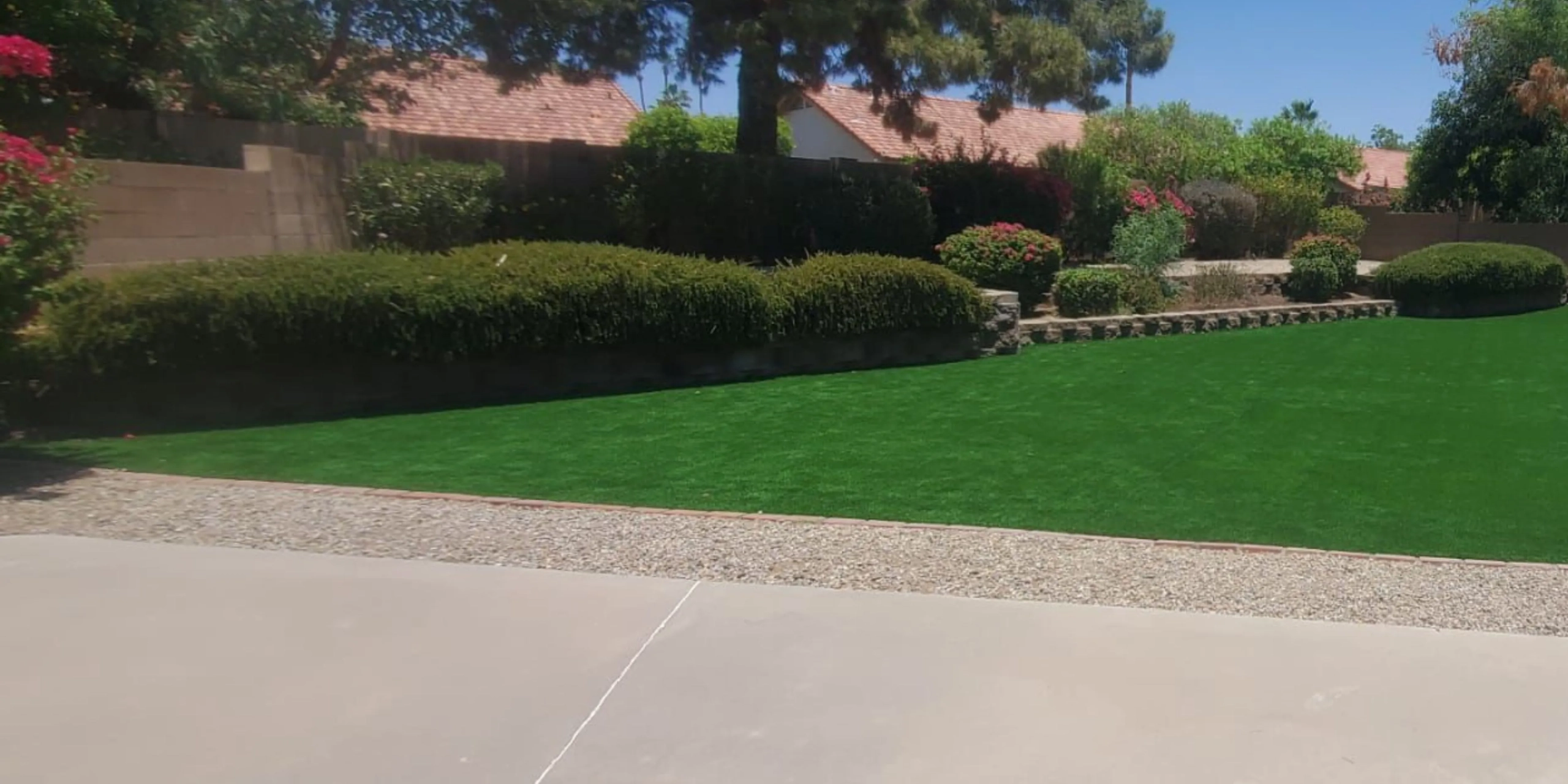 Artificial turf backyard lawn with shrubs